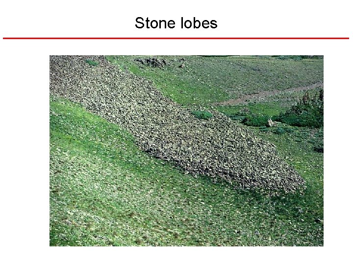 Stone lobes 
