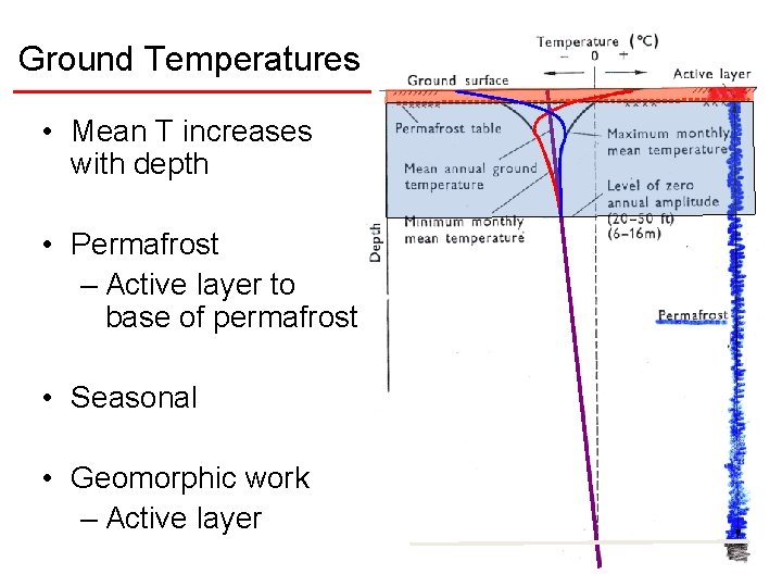 Ground Temperatures • Mean T increases with depth • Permafrost – Active layer to