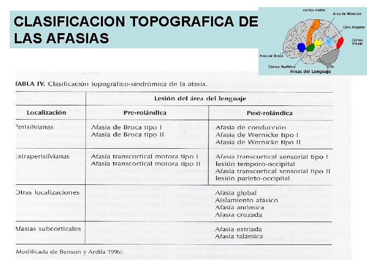 CLASIFICACION TOPOGRAFICA DE LAS AFASIAS 