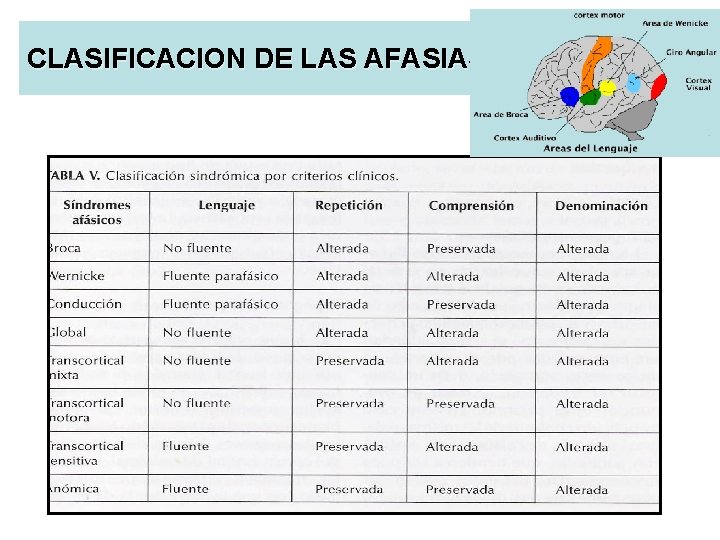 CLASIFICACION DE LAS AFASIAS 