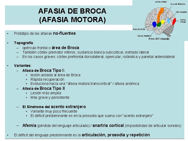 AFASIA DE BROCA (AFASIA MOTORA) • Prototipo de las afasias no-fluentes • Topografía: –