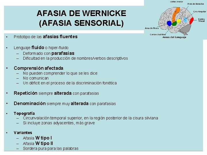 AFASIA DE WERNICKE (AFASIA SENSORIAL) • Prototipo de las afasias fluentes • Lenguaje fluido