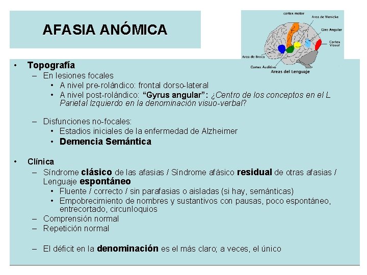AFASIA ANÓMICA • Topografía – En lesiones focales • A nivel pre-rolándico: frontal dorso-lateral