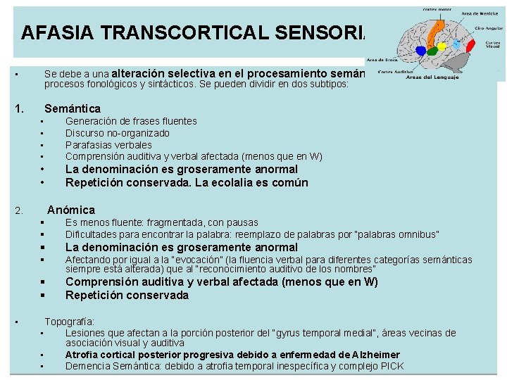 AFASIA TRANSCORTICAL SENSORIAL • Se debe a una alteración selectiva en el procesamiento semántico,