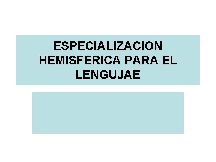 ESPECIALIZACION HEMISFERICA PARA EL LENGUJAE 