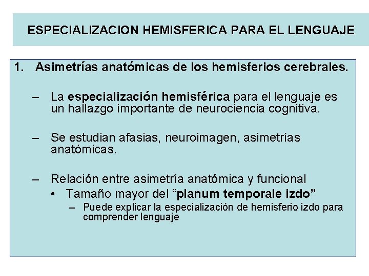 ESPECIALIZACION HEMISFERICA PARA EL LENGUAJE 1. Asimetrías anatómicas de los hemisferios cerebrales. – La