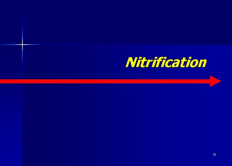 Nitrification 10 