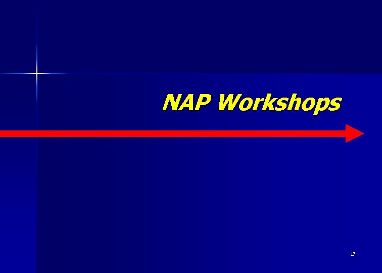 NAP Workshops 17 