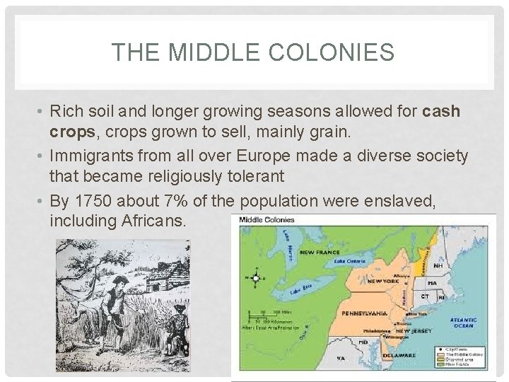THE MIDDLE COLONIES • Rich soil and longer growing seasons allowed for cash crops,