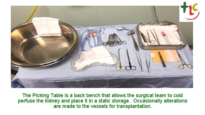 The Picking Table is a back bench that allows the surgical team to cold