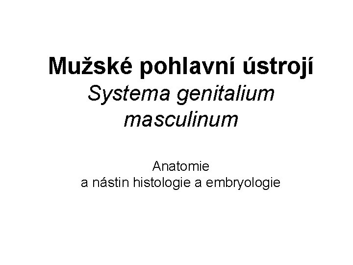 Mužské pohlavní ústrojí Systema genitalium masculinum Anatomie a nástin histologie a embryologie 