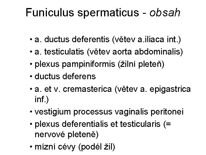 Funiculus spermaticus - obsah • a. ductus deferentis (větev a. iliaca int. ) •