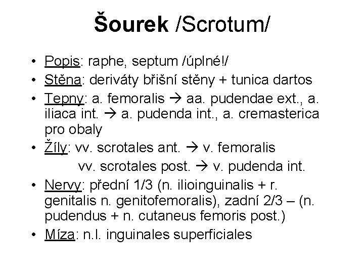 Šourek /Scrotum/ • Popis: raphe, septum /úplné!/ • Stěna: deriváty břišní stěny + tunica