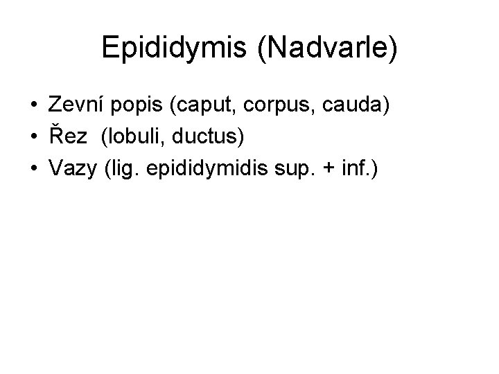 Epididymis (Nadvarle) • Zevní popis (caput, corpus, cauda) • Řez (lobuli, ductus) • Vazy