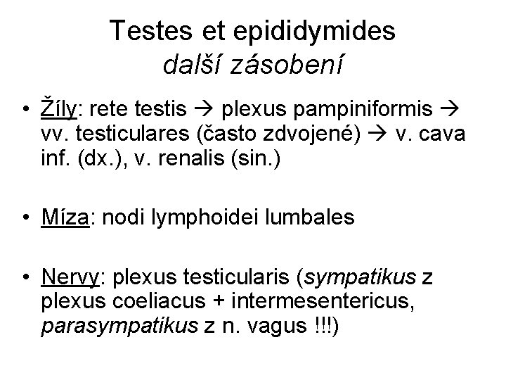 Testes et epididymides další zásobení • Žíly: rete testis plexus pampiniformis vv. testiculares (často