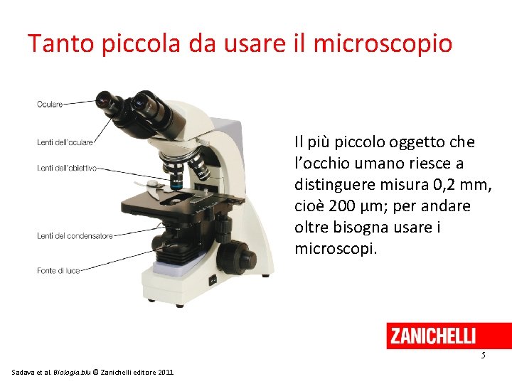 Tanto piccola da usare il microscopio Il più piccolo oggetto che l’occhio umano riesce