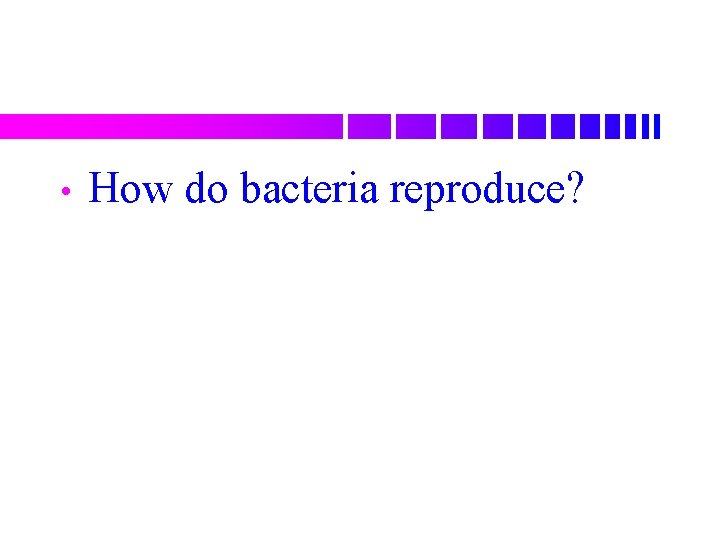  • How do bacteria reproduce? 