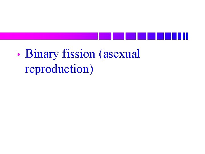  • Binary fission (asexual reproduction) 