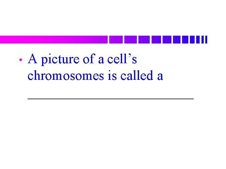  • A picture of a cell’s chromosomes is called a ____________ 