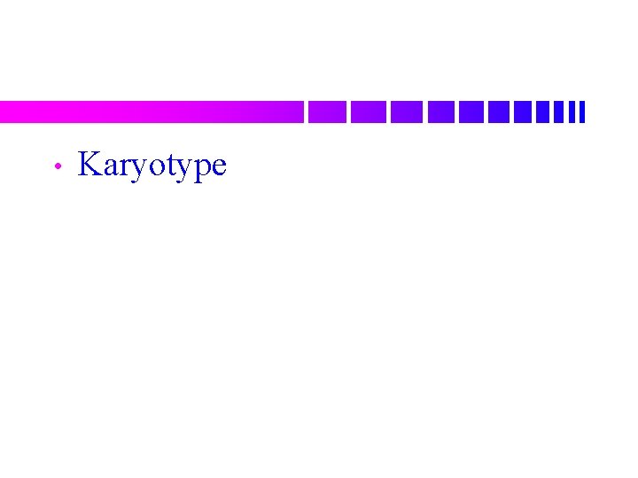  • Karyotype 