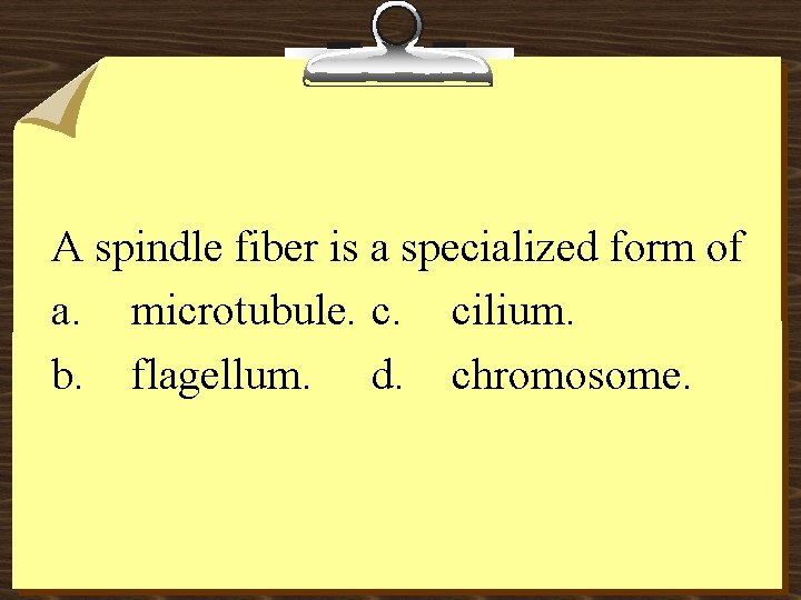 A spindle fiber is a specialized form of a. microtubule. c. cilium. b. flagellum.
