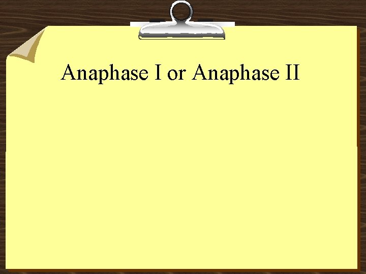 Anaphase I or Anaphase II 