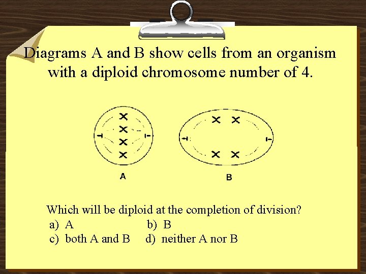 Diagrams A and B show cells from an organism with a diploid chromosome number