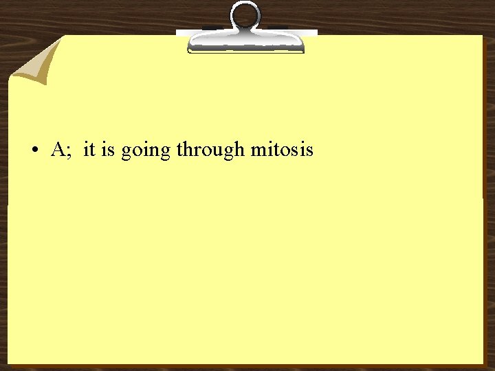  • A; it is going through mitosis 