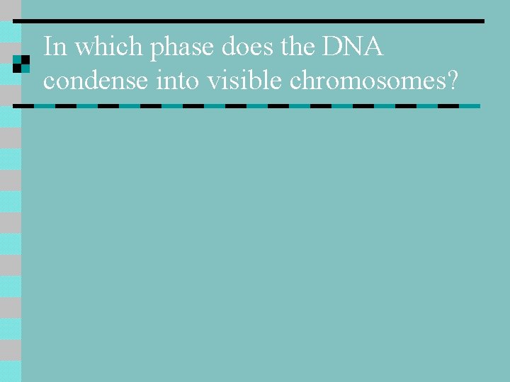 In which phase does the DNA condense into visible chromosomes? 