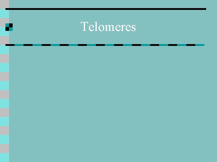 Telomeres 