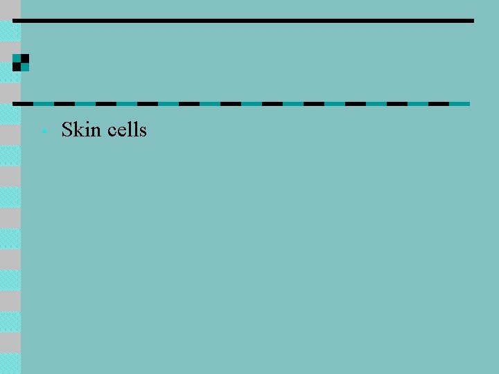  • Skin cells 
