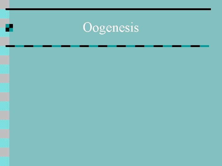 Oogenesis 