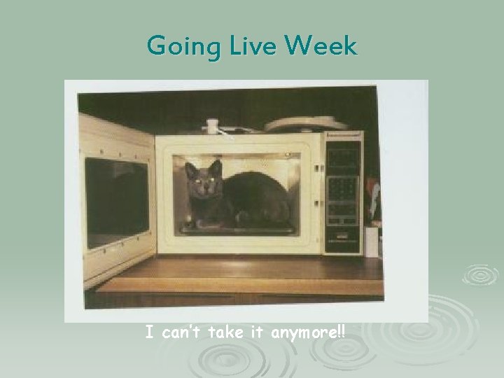 Going Live Week I can’t take it anymore!! 