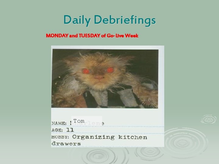 Daily Debriefings MONDAY and TUESDAY of Go-Live Week Tom 