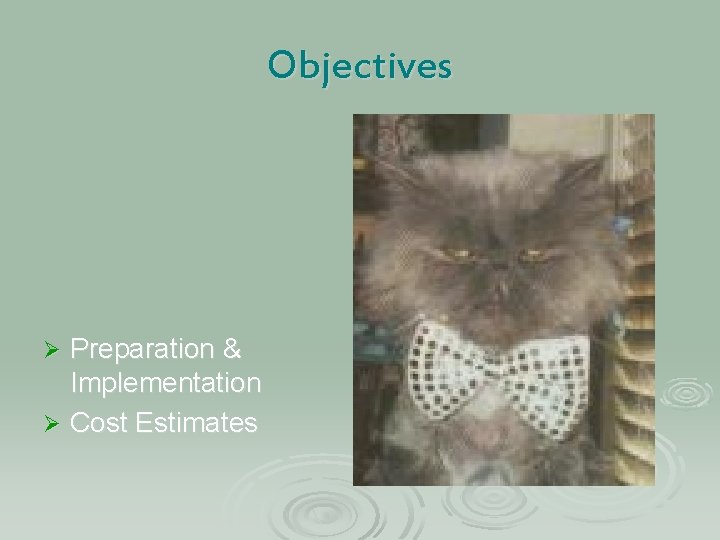 Objectives Preparation & Implementation Ø Cost Estimates Ø 