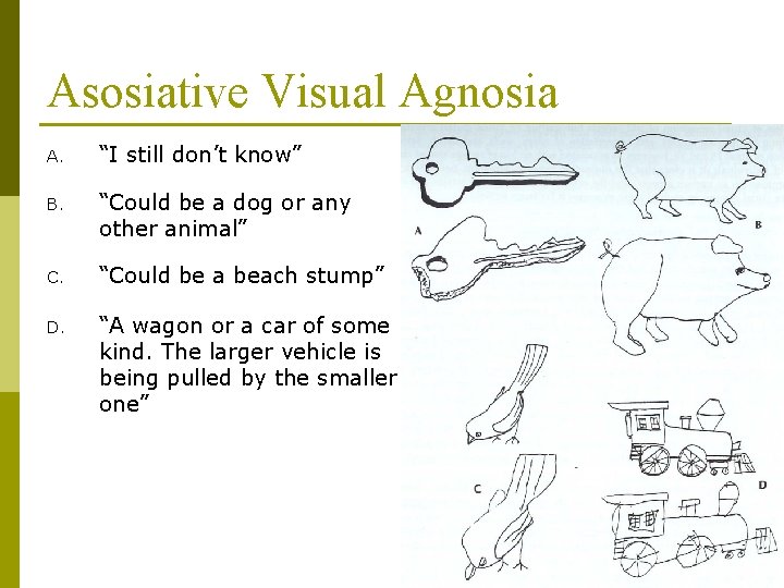 Asosiative Visual Agnosia A. “I still don’t know” B. “Could be a dog or
