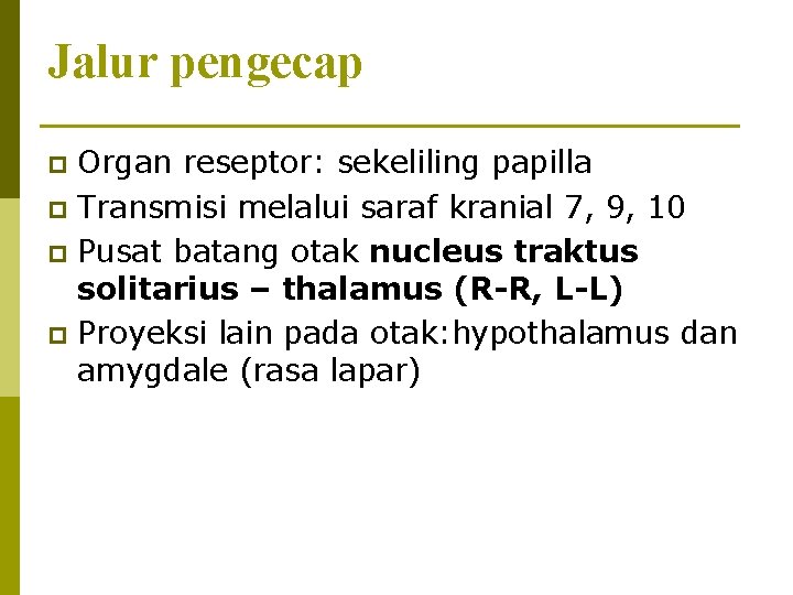 Jalur pengecap Organ reseptor: sekeliling papilla p Transmisi melalui saraf kranial 7, 9, 10