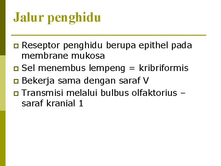 Jalur penghidu Reseptor penghidu berupa epithel pada membrane mukosa p Sel menembus lempeng =