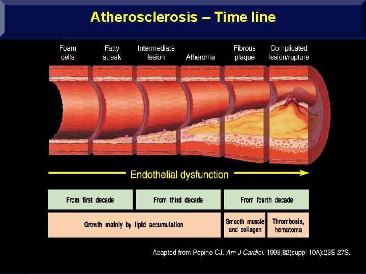 Atherosclerosis – Time line www. drsarma. in Dr. Sarma@works 37 