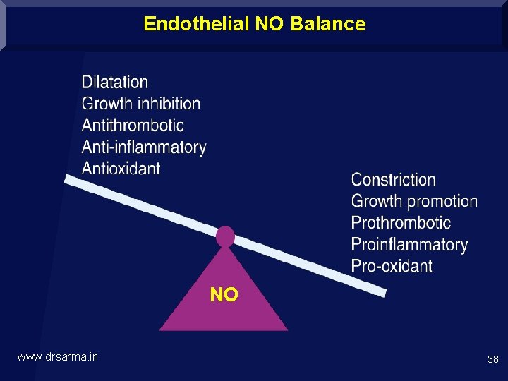 Endothelial NO Balance NO www. drsarma. in 38 