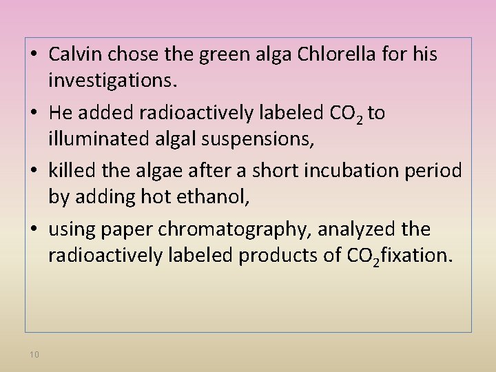  • Calvin chose the green alga Chlorella for his investigations. • He added