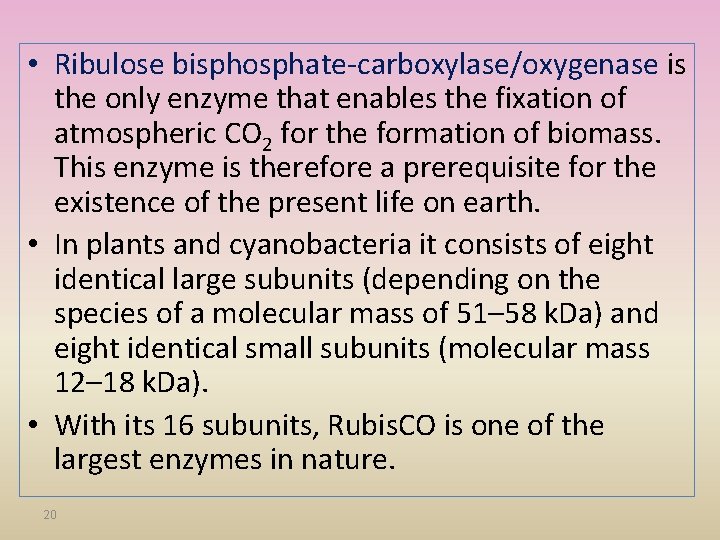  • Ribulose bisphosphate-carboxylase/oxygenase is the only enzyme that enables the fixation of atmospheric