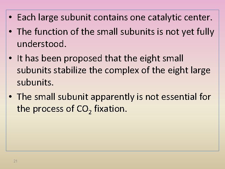  • Each large subunit contains one catalytic center. • The function of the