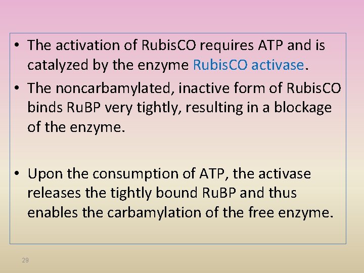  • The activation of Rubis. CO requires ATP and is catalyzed by the