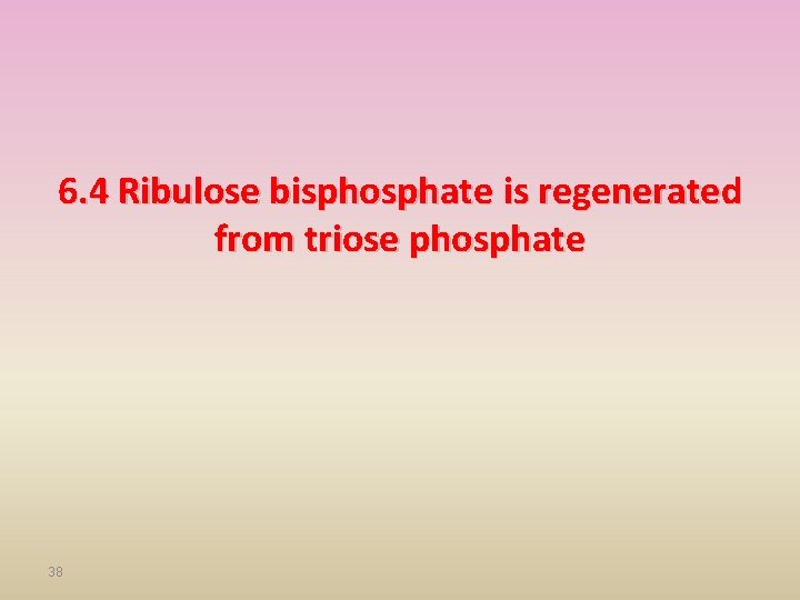 6. 4 Ribulose bisphosphate is regenerated from triose phosphate 38 