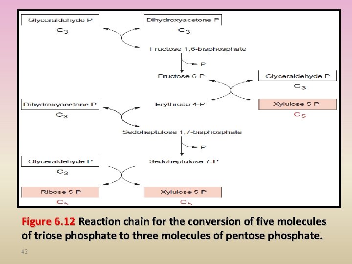 Figure 6. 12 Reaction chain for the conversion of five molecules of triose phosphate