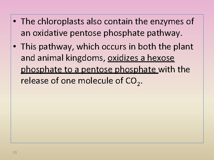  • The chloroplasts also contain the enzymes of an oxidative pentose phosphate pathway.