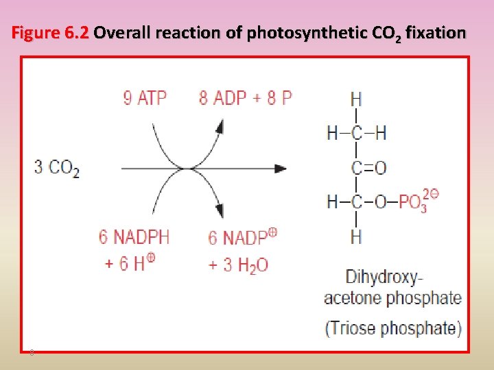 Figure 6. 2 Overall reaction of photosynthetic CO 2 fixation 8 