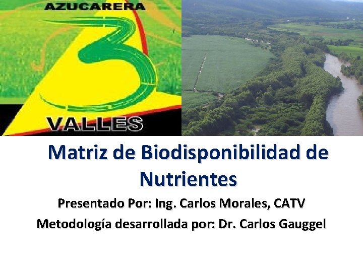Matriz de Biodisponibilidad de Nutrientes Presentado Por: Ing. Carlos Morales, CATV Metodología desarrollada por: