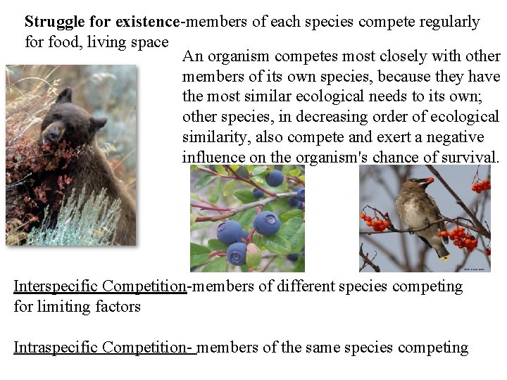 Struggle for existence-members of each species compete regularly for food, living space An organism